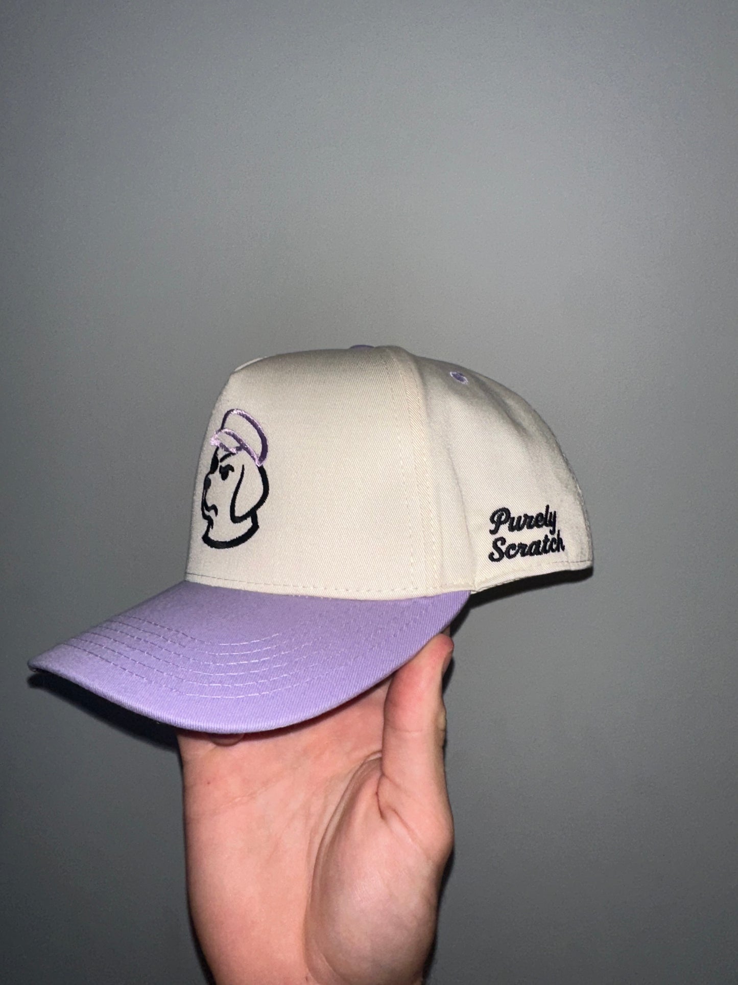 Pirate Purple Lifestyle Lid