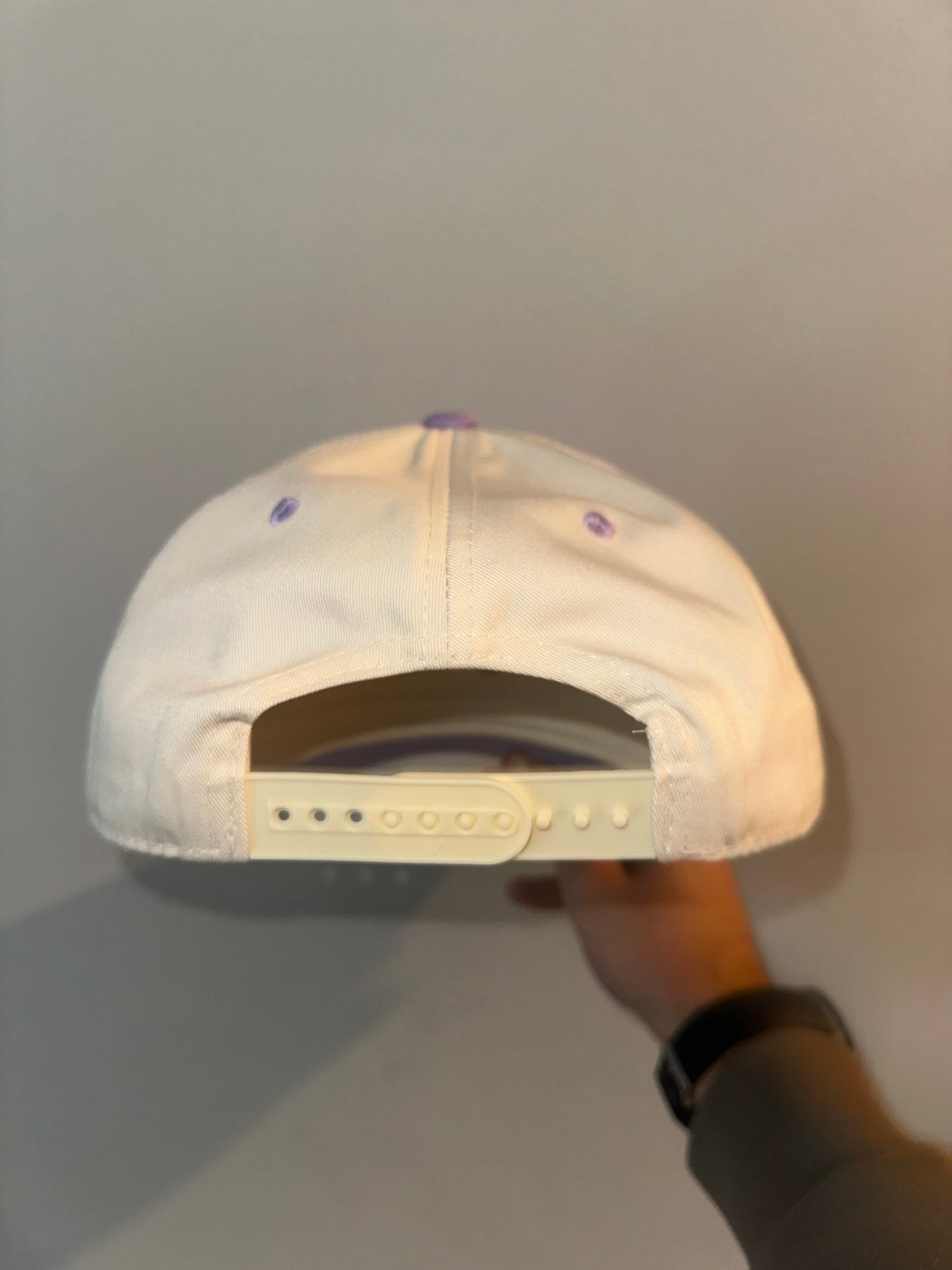 Pirate Purple Lifestyle Lid